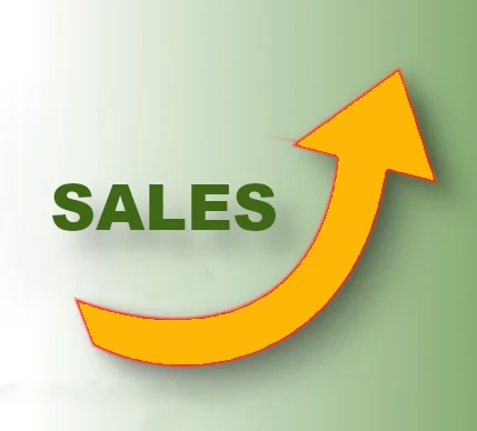 skyrocket your sales with the SEL system